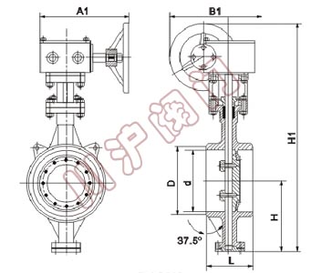 D363H_焊接蝶閥_結構圖