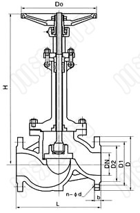 DJ41Y、DJ41W _低溫截止閥結構圖_截止閥廠家