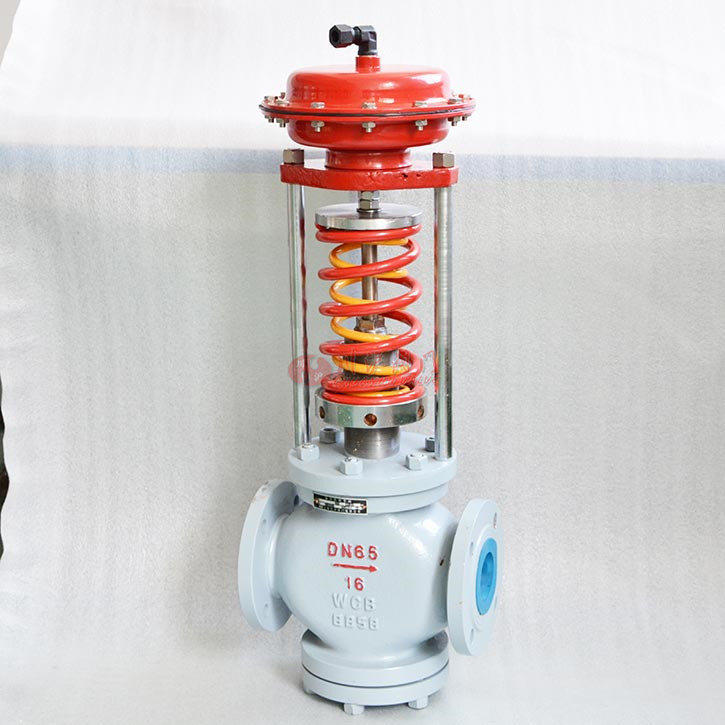 自力式調節閥控閥前實物圖